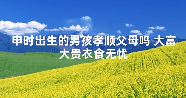 申时出生的男孩孝顺父母吗 大富大贵衣食无忧